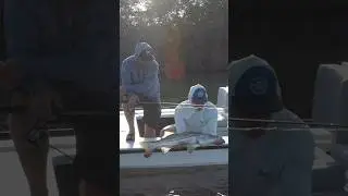 Snook Are an All-Around Great Gamefish!
