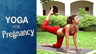 Yoga for Pregnant Women - Vyaghrasana The Tiger Pose (English) - Shilpa Yoga