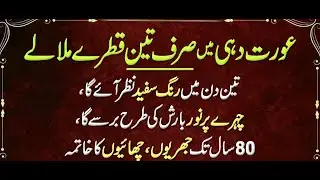 Best Urdu Quotes | Hikmat Ki Baatein | Rumi Quotes | Daily New Urdu Quotes | Golden Words