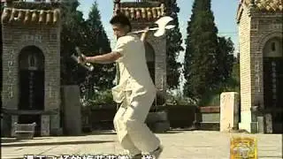 走遍中国 惊世梅花拳