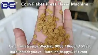 Pressing flaker machine for corn flakes cereal flake and multigrain flex manufacturing equipment