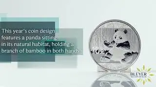 30g Silver Chinese Panda 2017 Coin