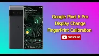 How to Replace Google Pixel 6 Pro Display and Calibrate Fingerprint Sensor