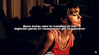 Taylor Swift - Anti-Hero (Türkçe Çeviri)