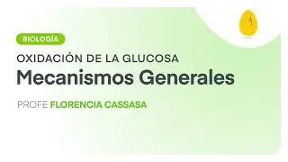 Mecanismos Generales | Biología | Oxidación de la Glucosa | V1 | Egg Educación