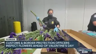 A billion flowers pass through Miami International Airport ahead of Valentine&rsquo;s Day