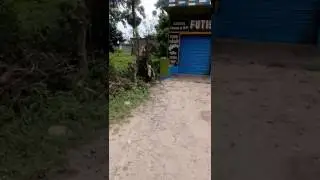 FUTISANKO BUSTAND