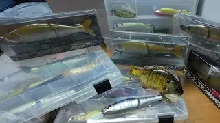 Top Swimbait-uri pentru Știucă | Colecția mea de naluci