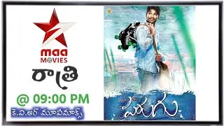 THURSDAY Movies Schedule | 06 NOVEMBER 2025 TV Movies Schedule | GURUVARAM Movies Schedule In Telugu