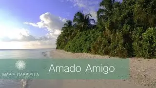 Amado Amigo - Marie Gabriella (Mestrinho na Sanfona)