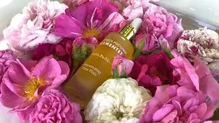 Hydra Re-New Rejuvenating Face Elixir - Luxury, Skincare and Beauty - 2