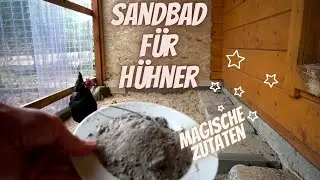 Hühner Tipp 11 - Ein Sandbad für meine Hühner - mehr als nur Sand