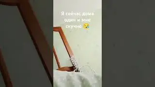 Пишите коменты ПЖ #toysrus #walmart #nostalgia #toysweremember #sad #toysruscanada #childhood #funny