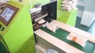 Flow Pack  (Horizontal Packing Machine)