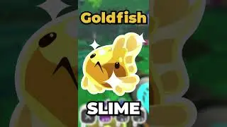 Slime Rancher Ocean Range just added NEW SLIMES!!