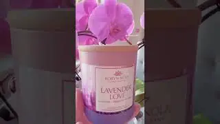 Lavender Love 💜 Hand-Poured Coconut Soy Wax Candle