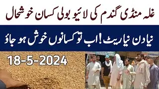 today wheat rate in pakistan 2024