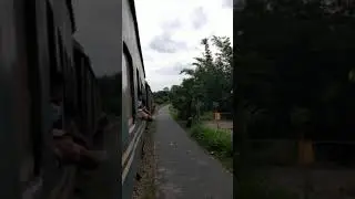 Roadside view from a Train