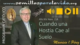 Cuando Una Hostia Cae al Suelo