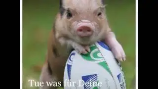 2. Dezember 2016(1)
