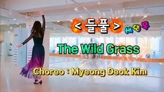 #들풀(AI음악)/#linedance/#스무드/The Wild Grass/2026 창작안무