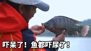 钓爽了！！！水库钓罗非，仙境一样的环境，在这环境打龟都愿意，#游钓黑坑 #水库钓鱼  #爱生活爱钓鱼