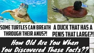 Here Are 20 Weird Facts That Will Amaze You