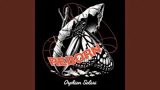 Reborn
