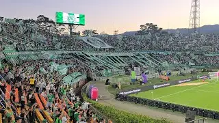 NACIONAL 4 - chico 0 | FECHA 1 LIGA BETPLAY | DESDE LA TRIBUNA | 4K 