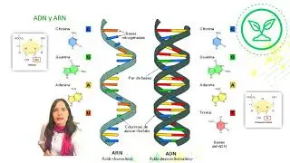 Biología NIVEL II - 