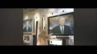 Bell - Frank & Gordon: ExpressVU HD TV (2006/2007)