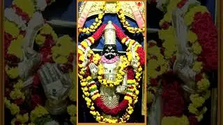 Sharanu Graharaja Kaapula  | Sri Shaneshwra Swamy | K S Surekha | Bhaskara Rai Kukkuvalli #shorts