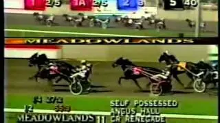 Hambletonian Final 1999