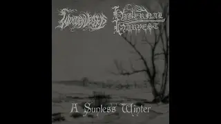 Wooden Vessels - ...and comforted by the falling snow... (Official Audio)