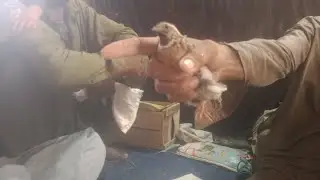 hamari adhuri bater ki awaaz mein Xarmy bater ki awaazbatair ki awaz subah ke liyechinga batair