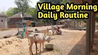 Rural India (West Bengal) |Village Morning Daily Routine | Indian Village Life