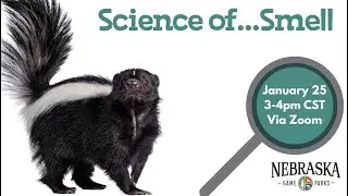 The Science of...Smell
