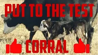 Tested Corral