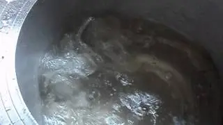 MOV02869