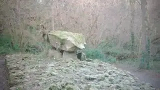 The Irish National Heritage Park