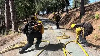 Practicing Progressive Hose Lays (CAL FIRE AEU's Battalion 3)