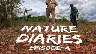 Nature Walk in Dry Forest with My Son 🌿👣 | Slow Moments, Quiet Bonds