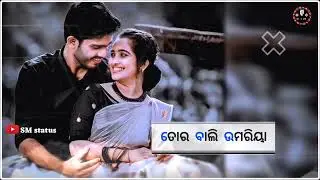 Sundri Guria 💘New Sambalpuri Status Video//@smstatus