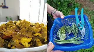  My vegetable garden | first karela | karele ki sabji 