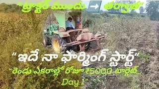 &ldquo;2 ఎకరాల్లో ₹5000 టార్గెట్&rdquo;|Real farming real income|rk rythunestam 