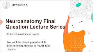 Neural tube development and its differenatiation, defects of neural tube closure