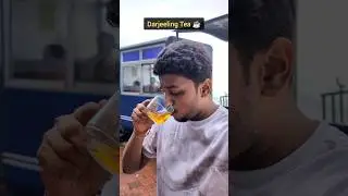 I Traveled 1500 km for Darjeeling Tea 🤯🔥