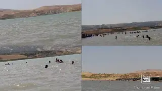 سد الشاهد