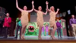 Don't Feed the Plants - Finale Little Shop of Horrors - Keegan Connor