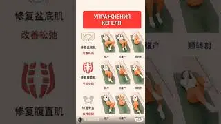 Упражнения КЕГЕЛЯ для Женщин